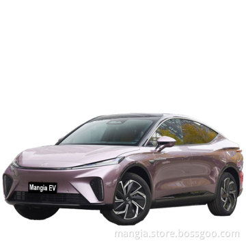 Adult electric car high quality new energy car 4WD for sale new car made in china in 2023 Rising R7 EV household